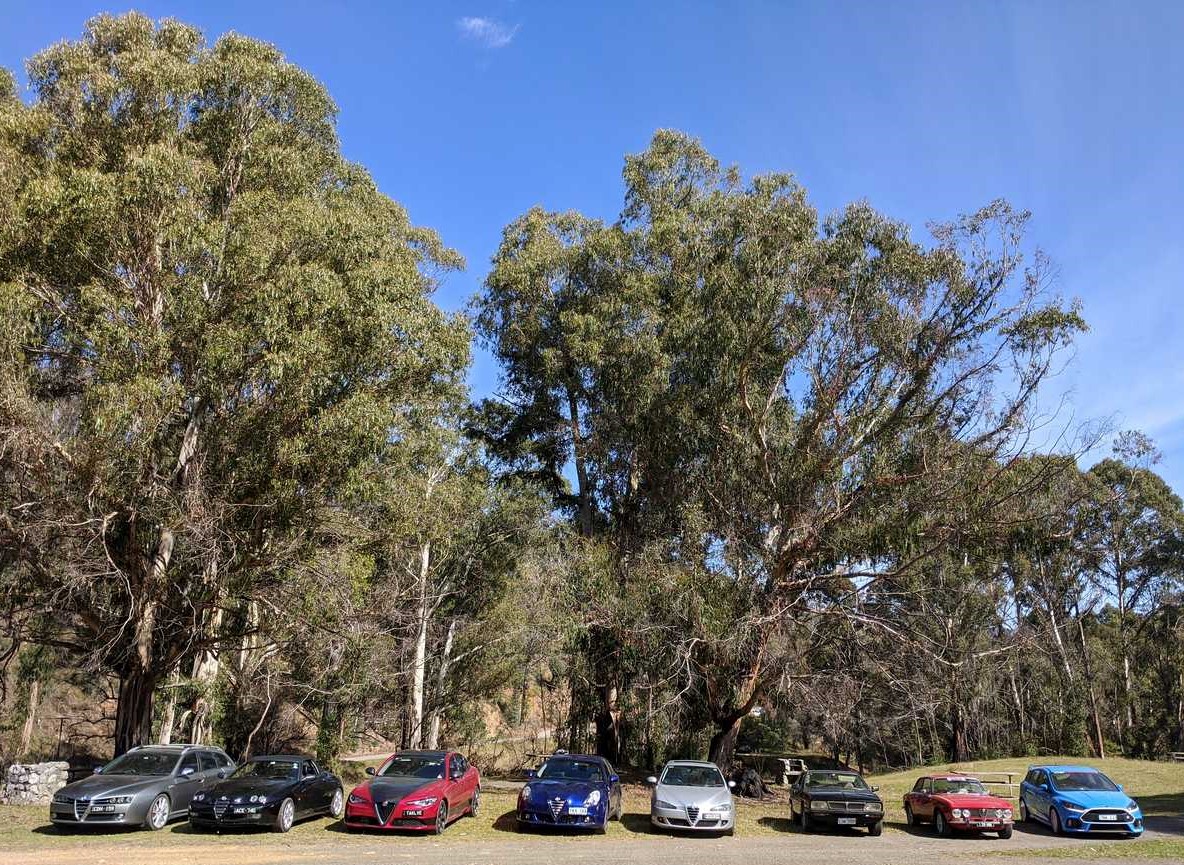 cars in a park